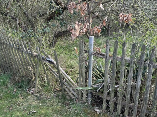 В Могилеве соседи через уголовное дело решали, где стоять забору