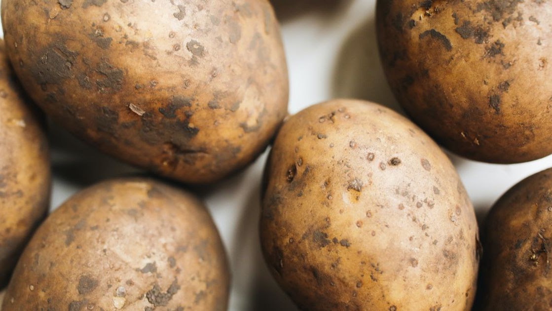 На Могилевщине значительно подешевела картошка