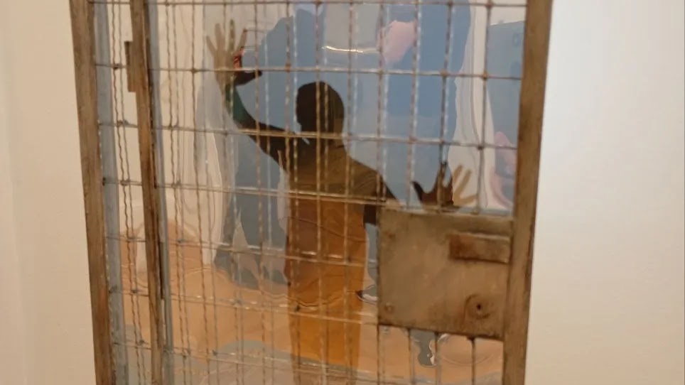 Новеллы писателя Сергея Антонова из Быхова звучали в Президентском дворце Польши