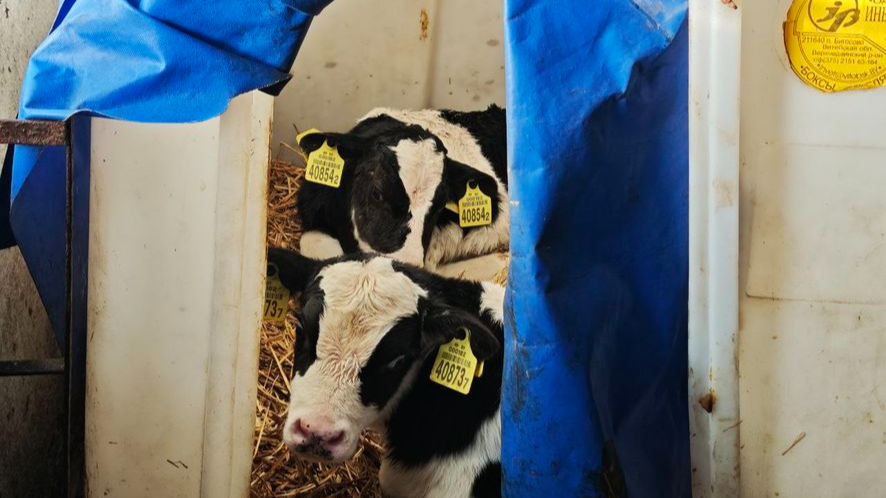 Чэрыкаў агра