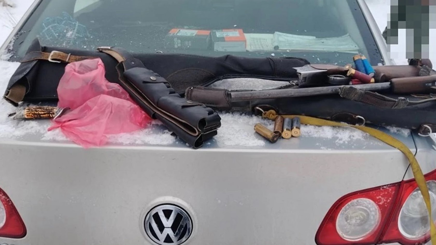 В Быхове пошли на зайца, а подстрелили косулю