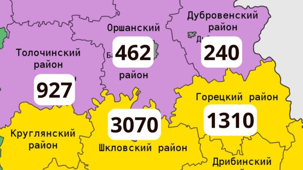 За год в Шкловском районе украли более трех тонн топлива