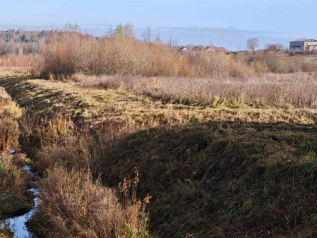 На Магілёўшчыне знайшлі амаль 3 000 гектар занядбаных меліараваных земляў